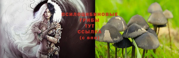 прущие крисы Каменка