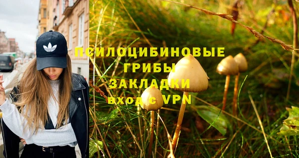 винт Каменногорск
