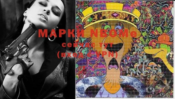спиды Каменск-Шахтинский