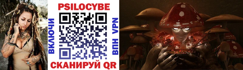 Галлюциногенные грибы Magic Shrooms  Купить  Иланский 